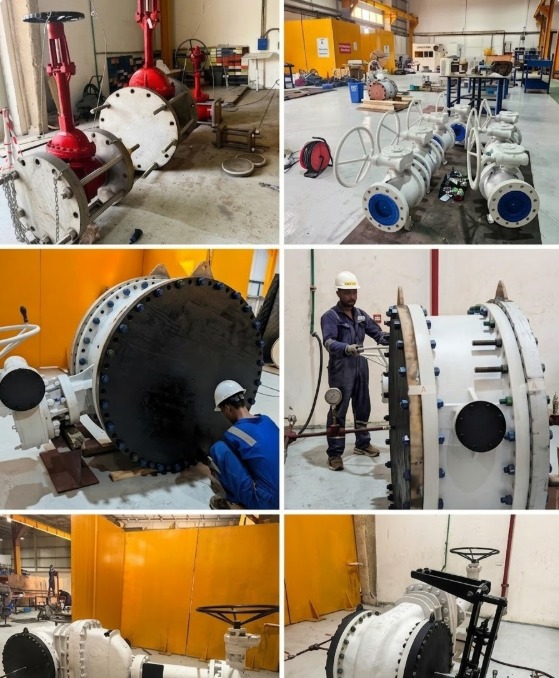 ADNOC LNG — Das Island Longevity Project